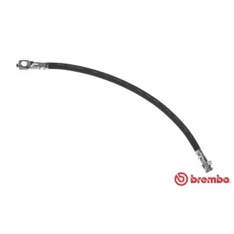 Flexible de frein BREMBO T 85 084