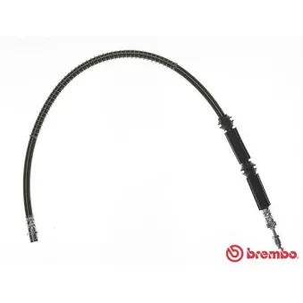 Flexible de frein BREMBO T 85 131