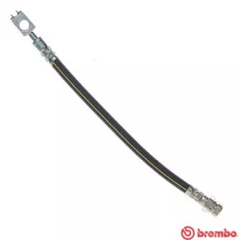 Flexible de frein BREMBO T 85 137