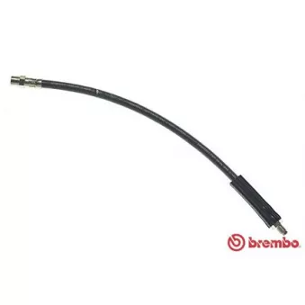 Flexible de frein BREMBO T 86 014