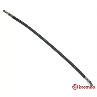 Flexible de frein BREMBO T A6 006