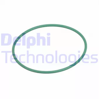 Joint d'étanchéité, pompe d'injection DELPHI 28377180