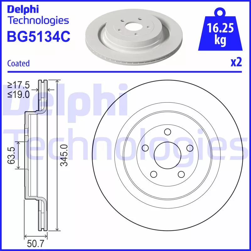 Jeu de 2 disques de frein arrière DELPHI BG5134C