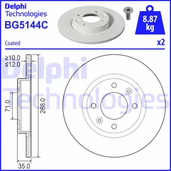 Jeu de 2 disques de frein arrière DELPHI BG5144C