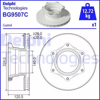 Jeu de 2 disques de frein arrière DELPHI BG9507C