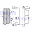 Compresseur, climatisation DELPHI CS10095-12B1 - Visuel 1