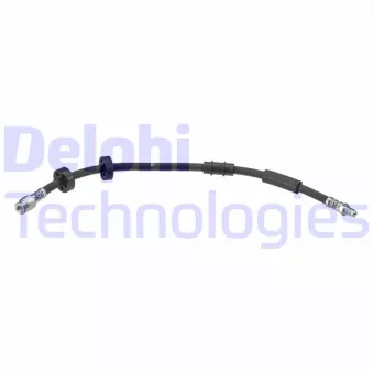 Flexible de frein DELPHI LH7819