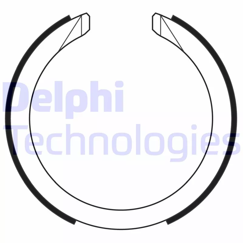 Jeu de mâchoires de frein, frein de stationnement DELPHI LS2169
