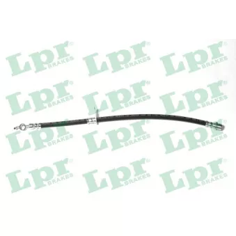 Flexible de frein LPR 6T48418