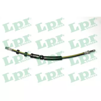 Flexible de frein LPR 6T48668