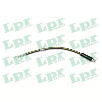 Flexible de frein LPR 6T48739