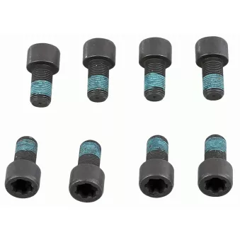 Visserie, volant moteur SACHS 1874 000 078