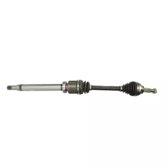 Embout de cardan avant (kit de réparation) PASCAL G8G004PC
