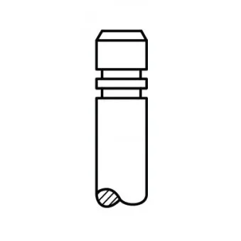 Soupape d'échappement AE V91261