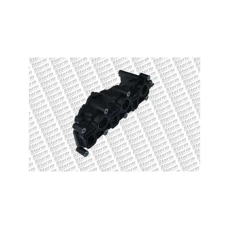 Module de tube d'admission Storm 516512