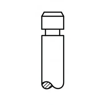 Soupape d'échappement AE V94272
