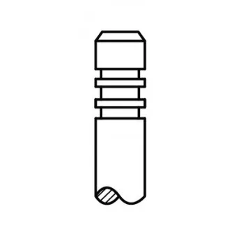 Soupape d'échappement AE V94417