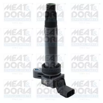 Bobine d'allumage MEAT & DORIA 10841
