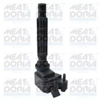 Bobine d'allumage MEAT & DORIA 10894