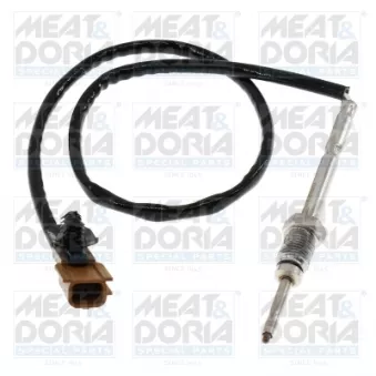 Capteur, température des gaz MEAT & DORIA 12185
