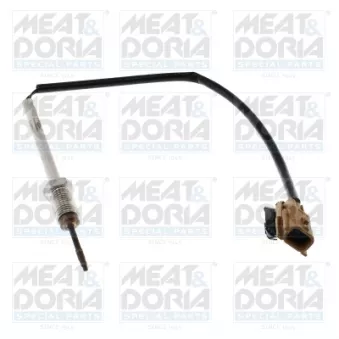 Capteur, température des gaz MEAT & DORIA 12186E