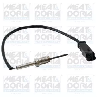 Capteur, température des gaz MEAT & DORIA 12284E