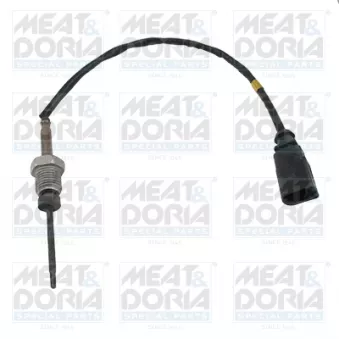 Capteur, température des gaz MEAT & DORIA 12464E