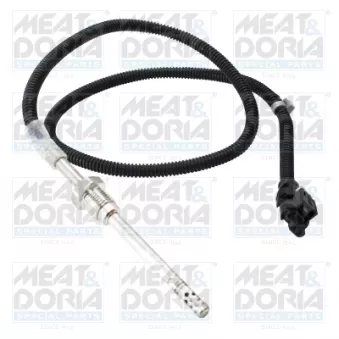Capteur, température des gaz MEAT & DORIA 12540