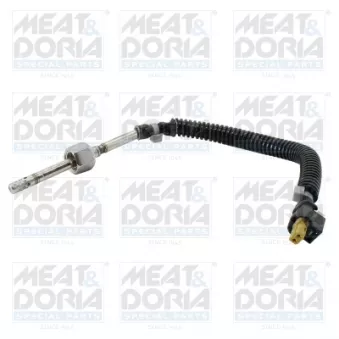 Capteur, température des gaz MEAT & DORIA 12550