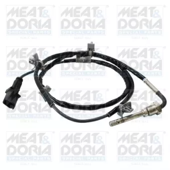 Capteur, température des gaz MEAT & DORIA
