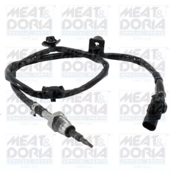 Capteur, température des gaz MEAT & DORIA