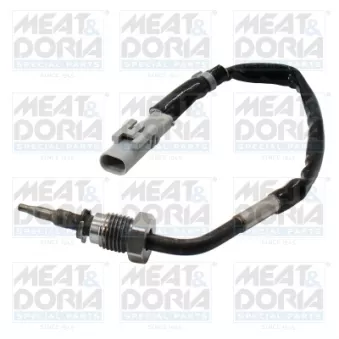 Capteur, température des gaz MEAT & DORIA