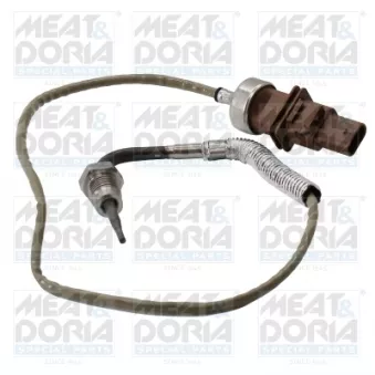 Capteur, température des gaz MEAT & DORIA