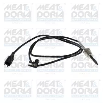 Capteur, température des gaz MEAT & DORIA