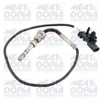 Capteur, température des gaz MEAT & DORIA