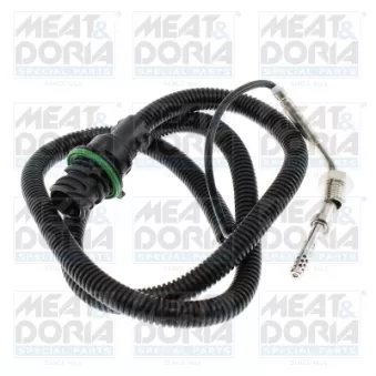 Capteur, température des gaz MEAT & DORIA 12651