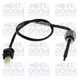 Capteur, température des gaz MEAT & DORIA 12656