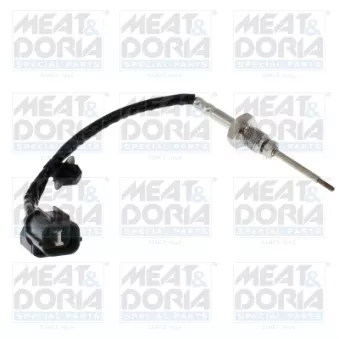 Capteur, température des gaz MEAT & DORIA