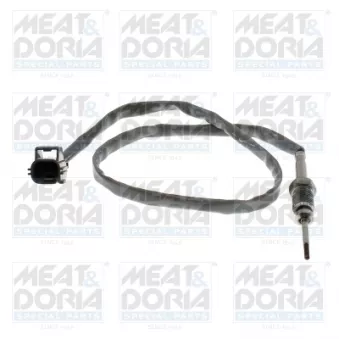 Capteur, température des gaz MEAT & DORIA 12704