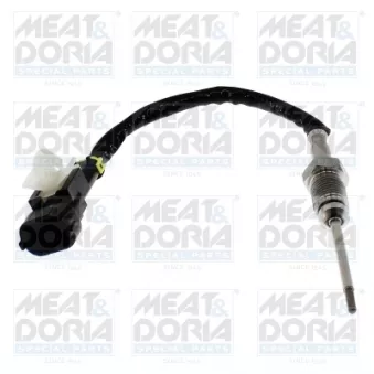 Capteur, température des gaz MEAT & DORIA