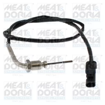 Capteur, température des gaz MEAT & DORIA