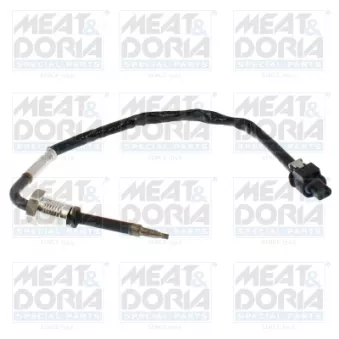 Capteur, température des gaz MEAT & DORIA