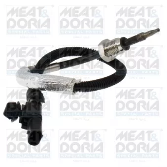 Capteur, température des gaz MEAT & DORIA