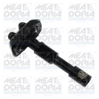 Gicleur d'eau de nettoyage, nettoyage des phares avant gauche MEAT & DORIA