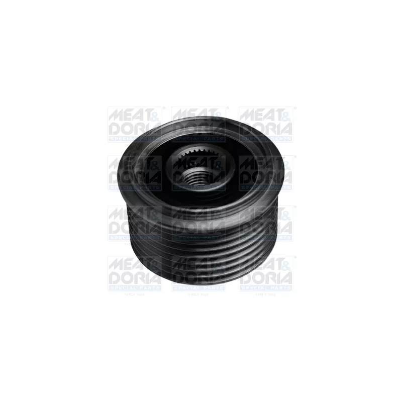 Poulie roue libre, alternateur MEAT & DORIA 45103