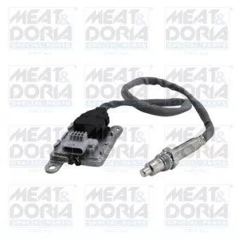 Capteur NOx, Catalyseur NOx MEAT & DORIA 57025