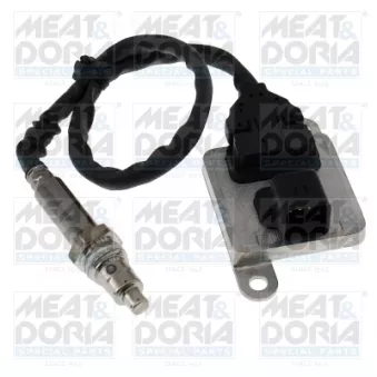 Capteur NOx, Catalyseur NOx MEAT & DORIA