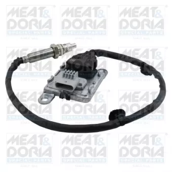 Capteur NOx, Catalyseur NOx MEAT & DORIA