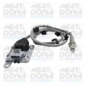 Capteur NOx, Catalyseur NOx MEAT & DORIA
