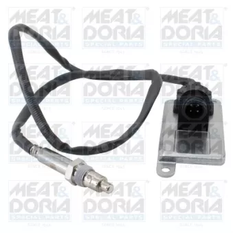 Capteur NOx, Catalyseur NOx MEAT & DORIA